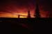 Pipeline-sunrise-Alberta-00